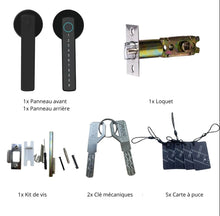 Charger l&#39;image dans la galerie, Serrure de porte intelligente RAYKUBE M5
